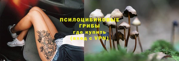 молекула духа Нефтекумск