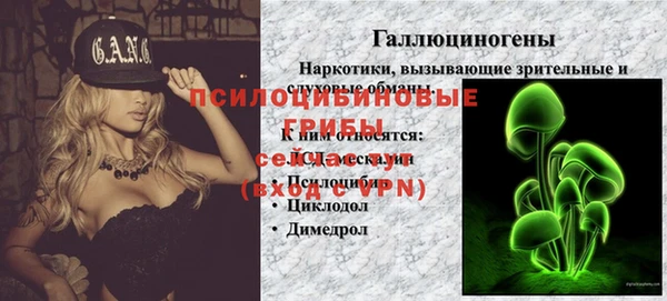 таблы Вяземский