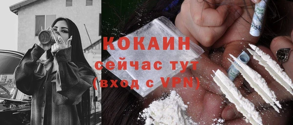 индика Надым