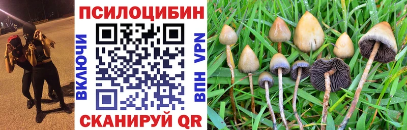 купить   KRAKEN   Галлюциногенные грибы мухоморы  Муром 