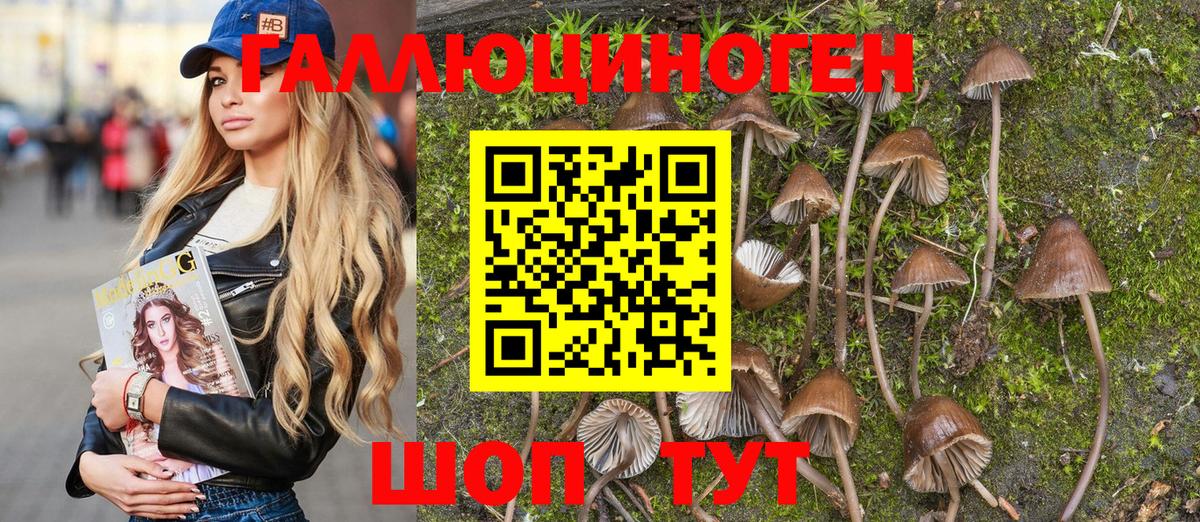 Псилоцибиновые грибы прущие грибы Муром