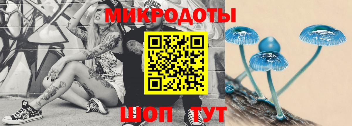 закладки  Псилоцибиновые грибы Psilocybine cubensis  Вход с VPN  Муром 