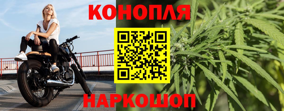 Канабис конопля Муром